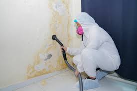 Best Water Damage & Mold Remediation  in Keokea, HI